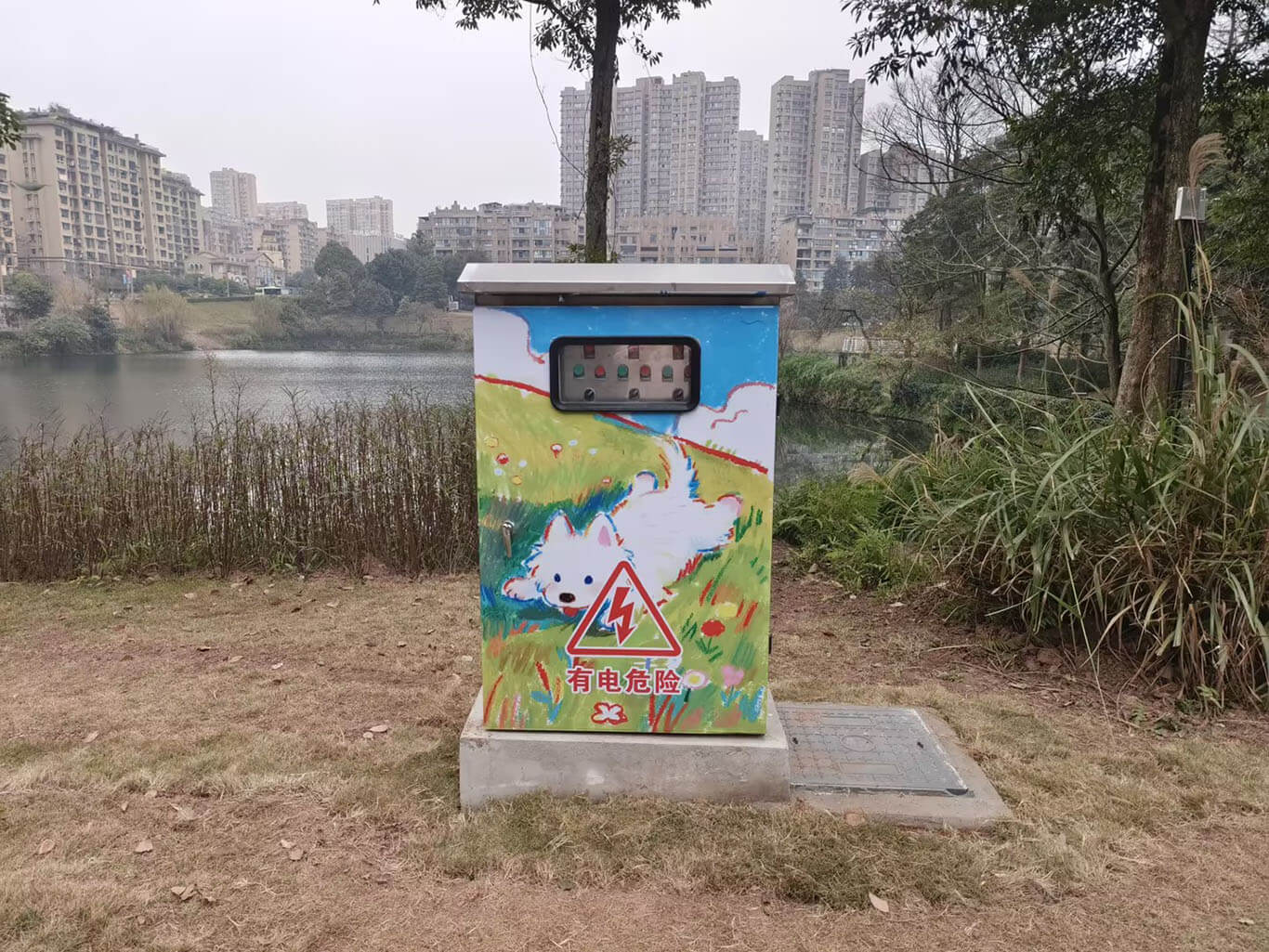 Painted electrical cabinet in park